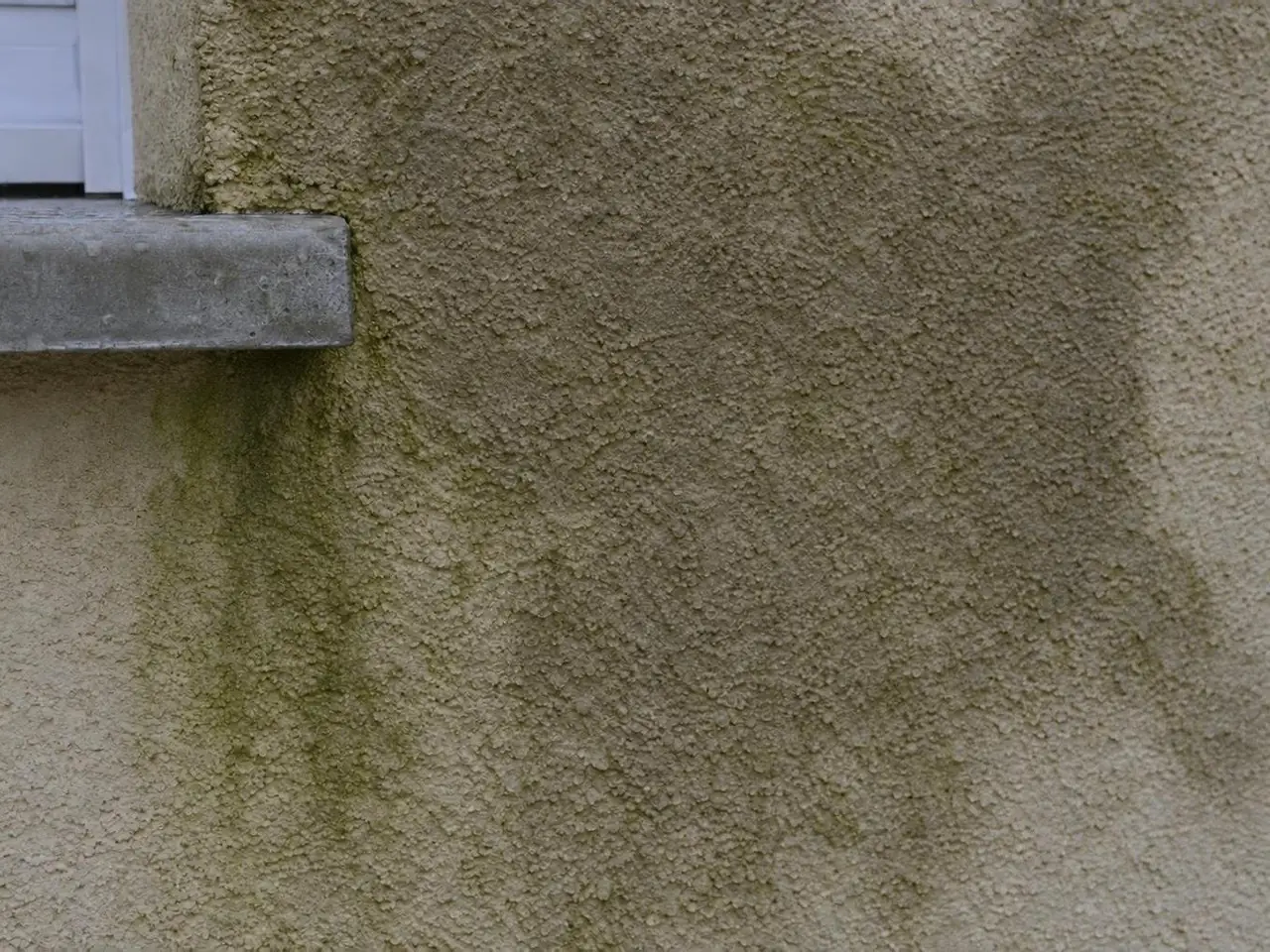 Crépi beige imbibé d'eau en larges auréoles sombres, taches vertes d'algues sous l'angle d'un appui de fenêtre en béton